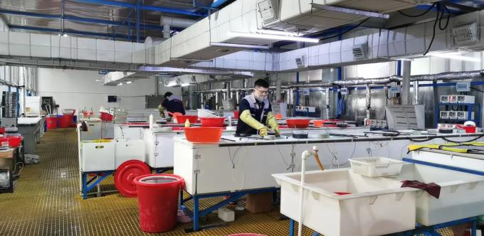 ZHENGZHOU JINCHUAN ABRASIVES CO., LTD. Visite d'usine