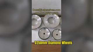 Regarder : Vitrine des roues en verre et en résine D250 mm